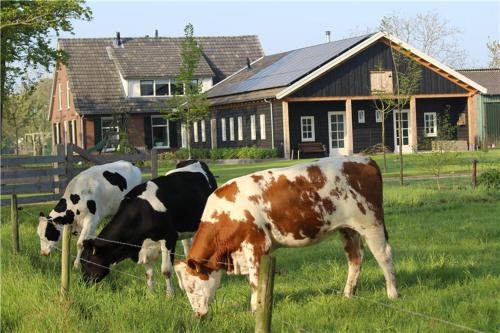 Varsseveld Bed & Breakfast | B&B 't Bievink