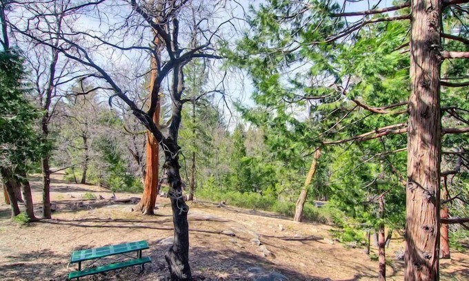 Yosemite West Condo | (B107) Studio Condominiums