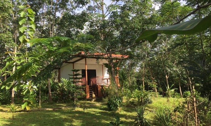 Ban Wang Hom Other | Baansuan Suksangob Farm Stay
