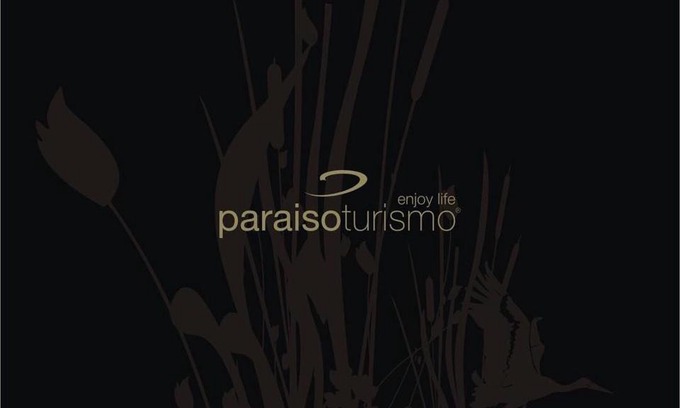 Oliveira do Bairro Apartment | BAIRRADA SUITE HOUSE BY HOTEL PARAISO