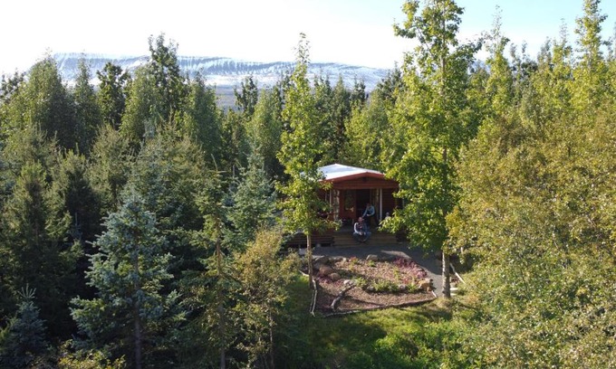 Hauganes Cabin | Bakkakot 1 - Cozy Cabins in the Woods