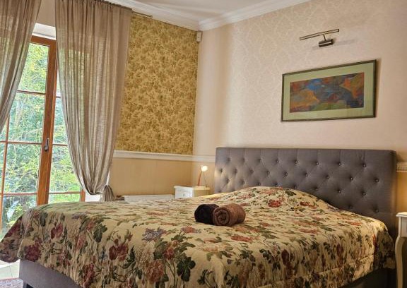 Siauliai City Center Apartment | Barrister's apartments with fireplace