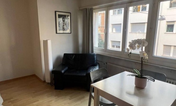 Vorstadte Apartment | Basel Schweiz Apartment 302