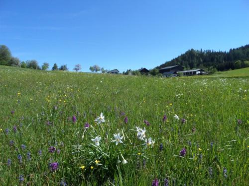 Goestling an der Ybbs House | Bauernhof Ablass