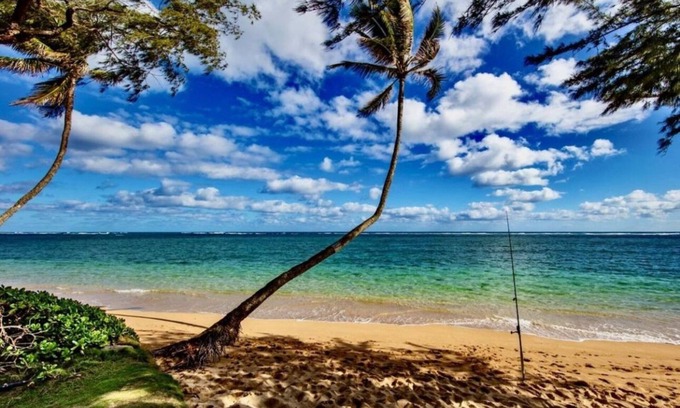 Punaluu Condo | Beach Front Condo-Everything you can dream of for a Hawaiian getaway is here!