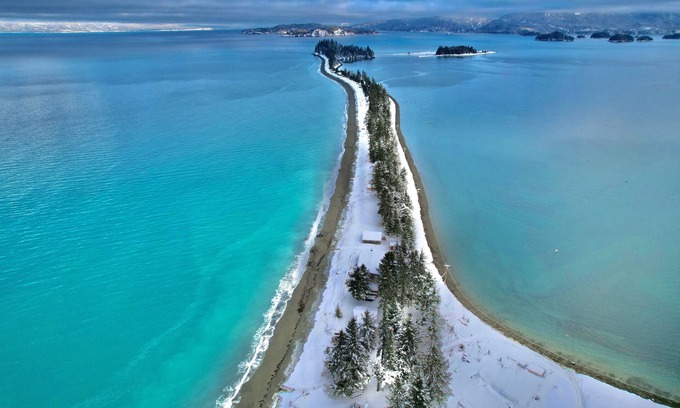 Seldovia Village Cabin | Beachcomber Cabin, Glaciers, Bears, Kayaking, tide pooling, fishing, sups.