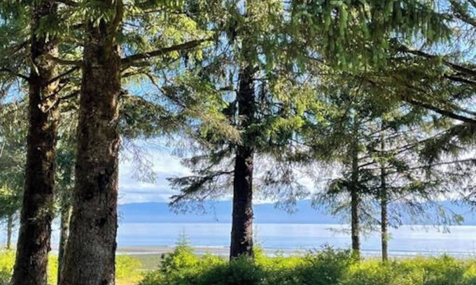 Sekiu Cabin | Beachfront Cabin – Pet-Friendly Romantic Escape w/Views & Huge Deck