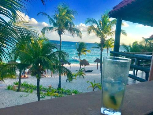 Akumal Apartment | Beachfront Hammock Heaven