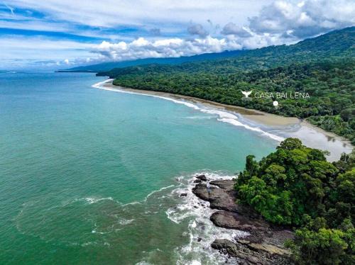 Dominical Apartment | Beachfront Jungle Luxury! 3BD Penthouse Uvita