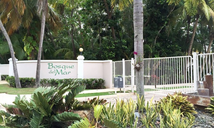 Zarzal Apartment | Beachfront Paradise In PR, For Adventure Seeking Travelers. Or Just To Relax