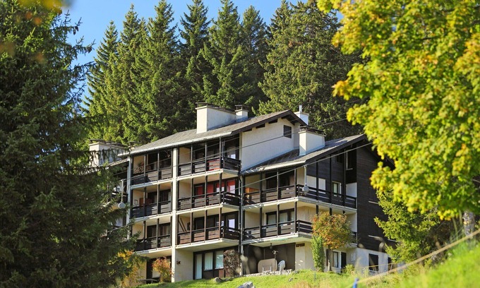 Gryon Apartment | Beautiful apartment for 4 guests with WIFI, TV, balcony and pets allowed