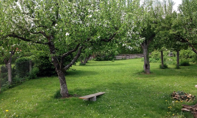 Bergheim Apartment | Beautiful attic apartment, close to nature & close to the city (western forests)
