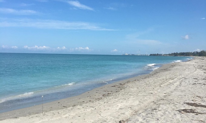 Siesta Key Condo | Beautiful Bay Tree Club Siesta Key Condo Bay to Beach