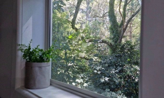 Olinda Cottage | Beautiful Cottage nestled in the majestic Dandenong Ranges.