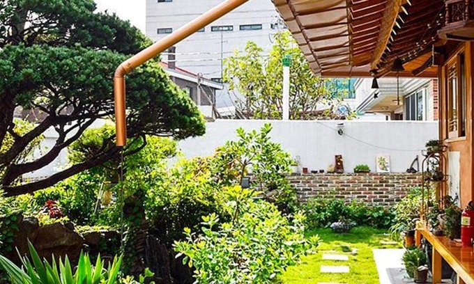 Jeonju House | Beautiful Garden Fine Day House