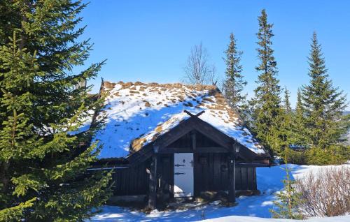 Nes House | Beautiful Home In Nesbyen With Sauna