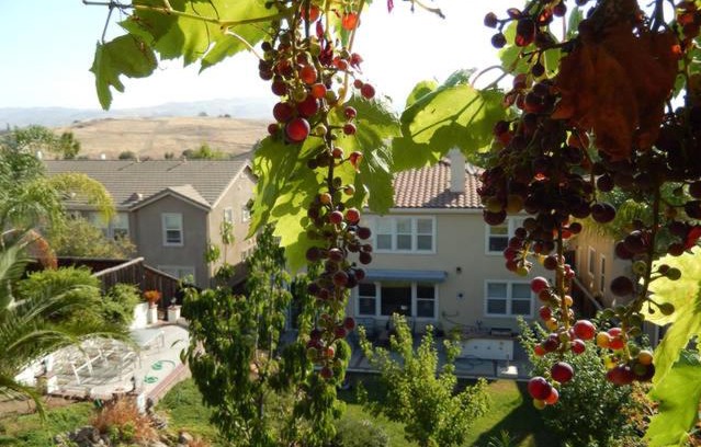 Silver Creek House | Beautiful Home in Quiet Area