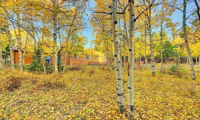 Black Hawk Cabin | Beautiful mountain views in a woodland paradise!