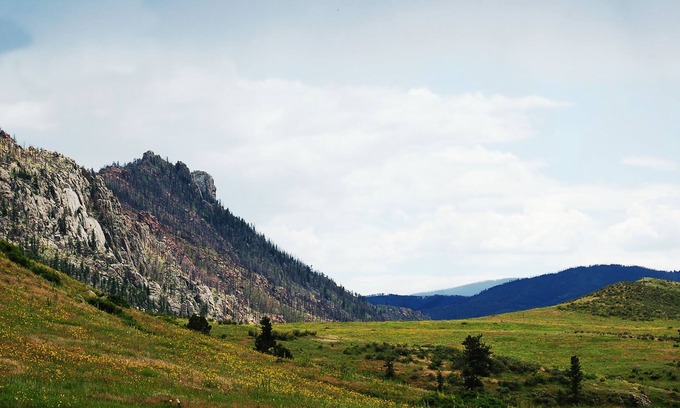 Livermore Apartment | Beautiful Suite in the Colorado Mountains w/Full Gourmet Breakfast