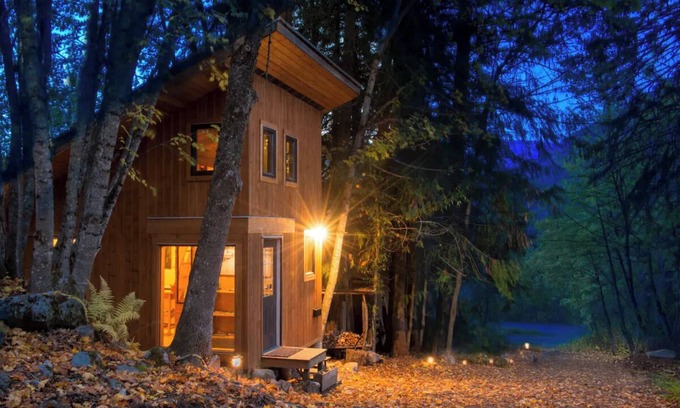 Nelson Cabin | Bees Knees in the Trees Tiny Home - Hot Tub, Sauna & Cold Plunge
