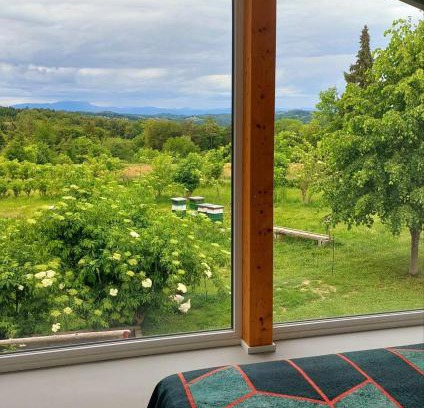 Kirchbach in Steiermark Apartment | Beim Bergjosl