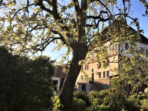 Lauda Apartment | Beim Schloß Michel