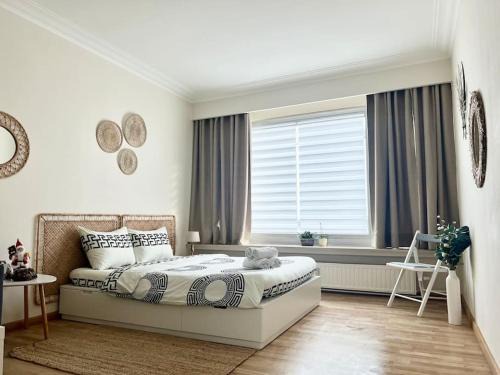 Klein-Antwerpen Apartment | Belgiëlei 94