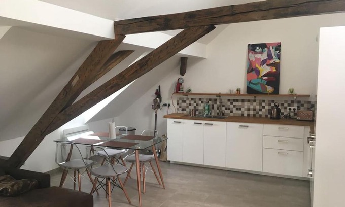 Poincare Apartment | Belles combles alsaciennes au centre de Strasbourg