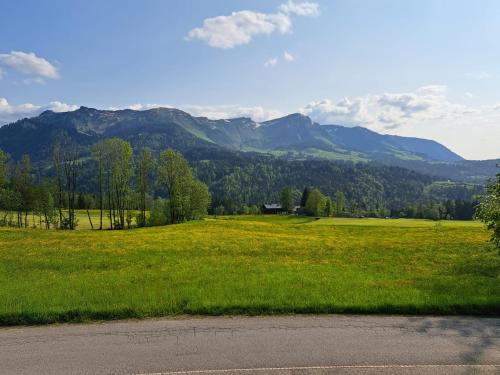Sibratsgfaell Apartment | Bereuter