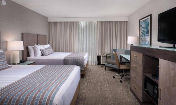 Newport House | Best Value, Quality Stay! Free Parking, Indoor Pool, Pets Allowed!