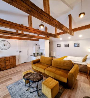Czestochowa Apartment | Biały Kruk Apartamenty vis-a-vis Jasnej Góry 5b