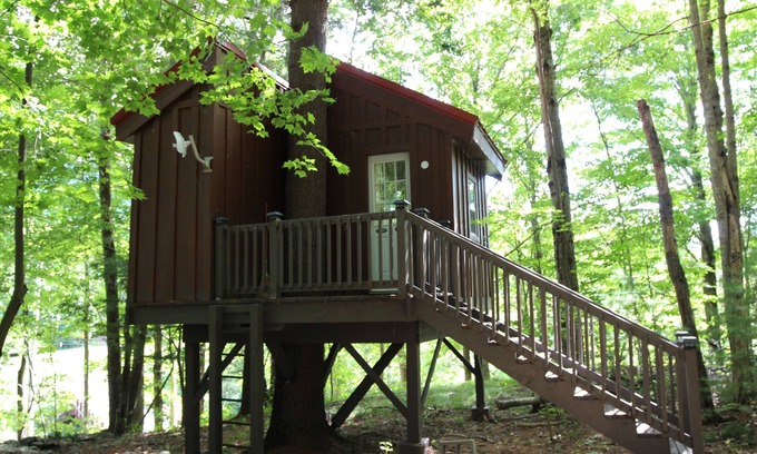 Maplecrest House | Big Hollow Board and Batten House with Nerf Treehouse!