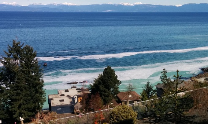 Regional District of Nanaimo Apartment | Big Vista Panoramic Cruise-ship-View Suite. Minutes from the beach!