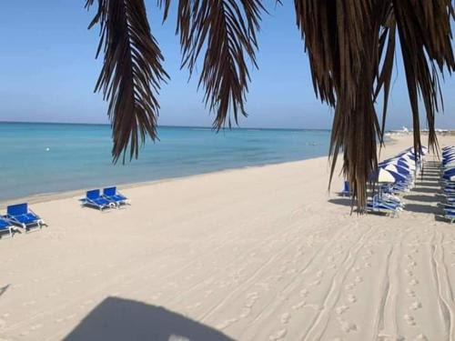 Torre Mozza Apartment | Bilocale vista spiaggia 10 metri dal mare