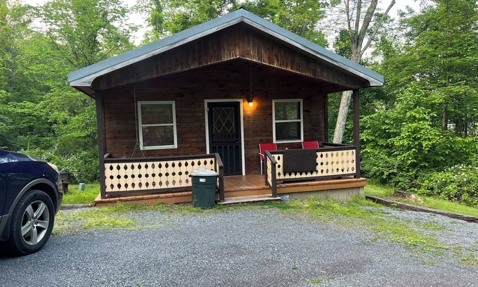 Robertsdale Cabin | Bitter Goose Cabin - Private, Sleeps 6, Fire Pit, Swimming Pool, 15 minutes to Lake Raystown