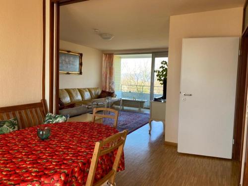 Heiderhof Apartment | Blick über Bonn ins Siebengebirge