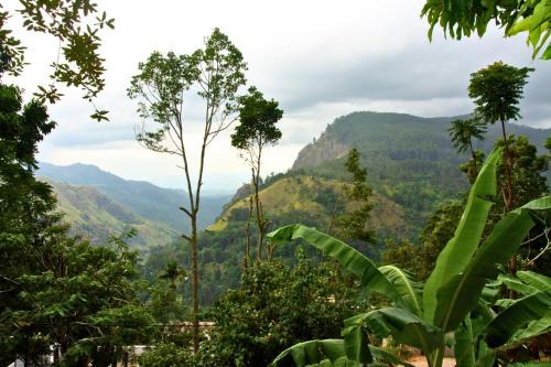 Ella Bed & Breakfast | Bliss In Viya