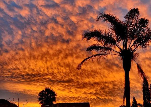 Ekurhuleni Apartment | Blue Oasis Apartments