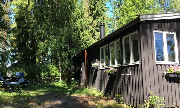 Skillingsfors Cabin | Blueberries Lake Cabin