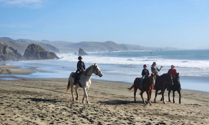 Bodega Bay House | Bodega Bay Sonoma Coast Ocean Views 3 Bedroom Home