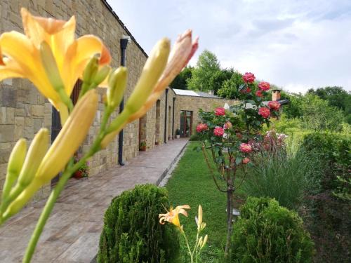 Apriltsi House | Boomerang Guest House