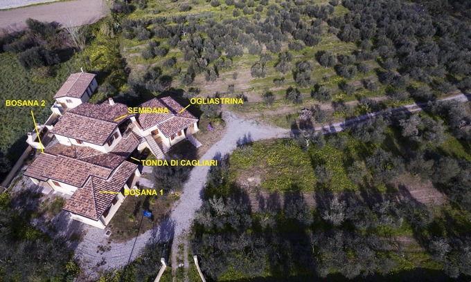 Cardedu House | Bosana 2 apartment
