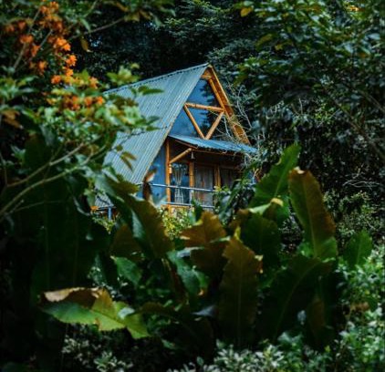 Tena Hotel | Boscaje Solarpunk Habitat