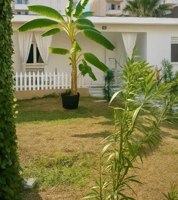 Vlore House | Brielle's House