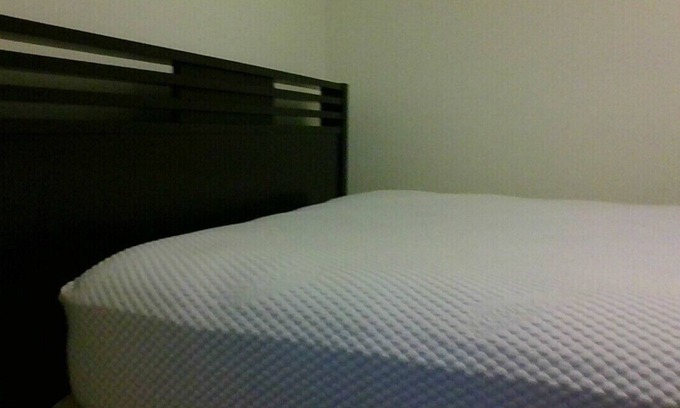 Carrollwood Bed & Breakfast | Bubble Space Pub