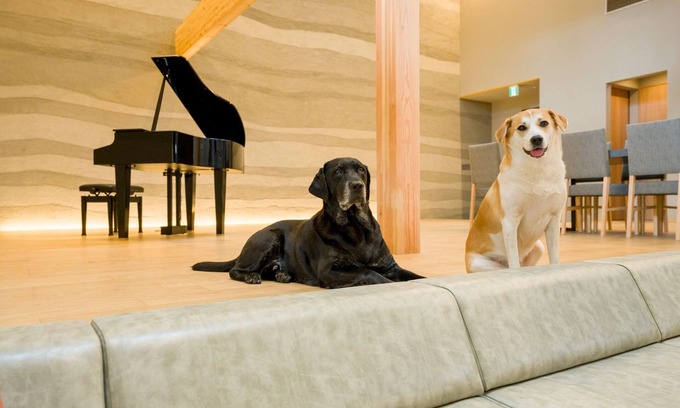 Kominato Onsen House | Building A Pets allowed SuiteWith pool terrace and sauna/Kamogawa City Chiba