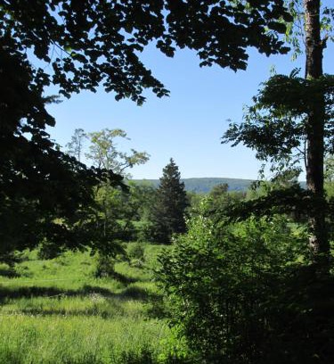 Paradise Bed & Breakfast | Burnbrae Farm & Paradise Inn