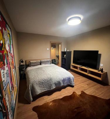 Jelgava Apartment | Business and getaway