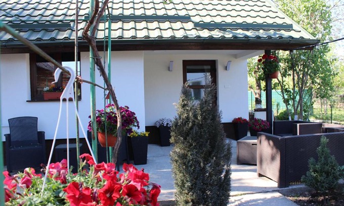 Breaza de Jos House | Căsuța artiștilor
