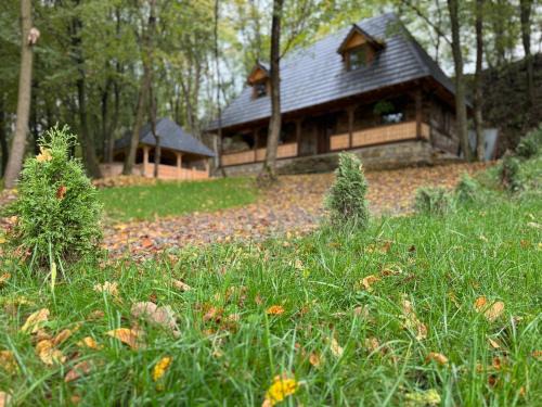 Vadu Izei House | Căsuța de la vâltoare